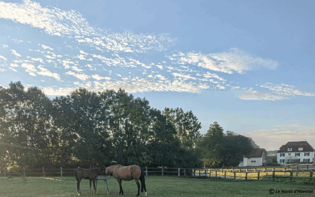 Vue sur notre maison d'hôtes