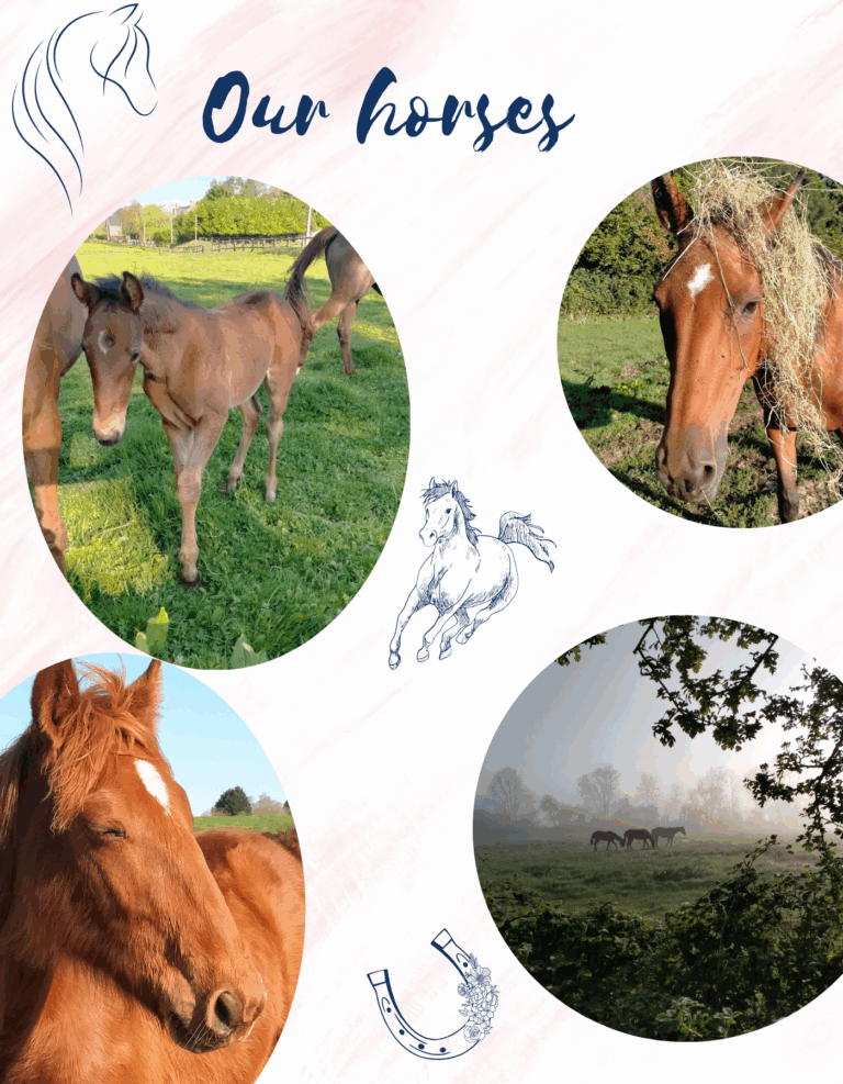 guesthouse on a racehorse breeding farm